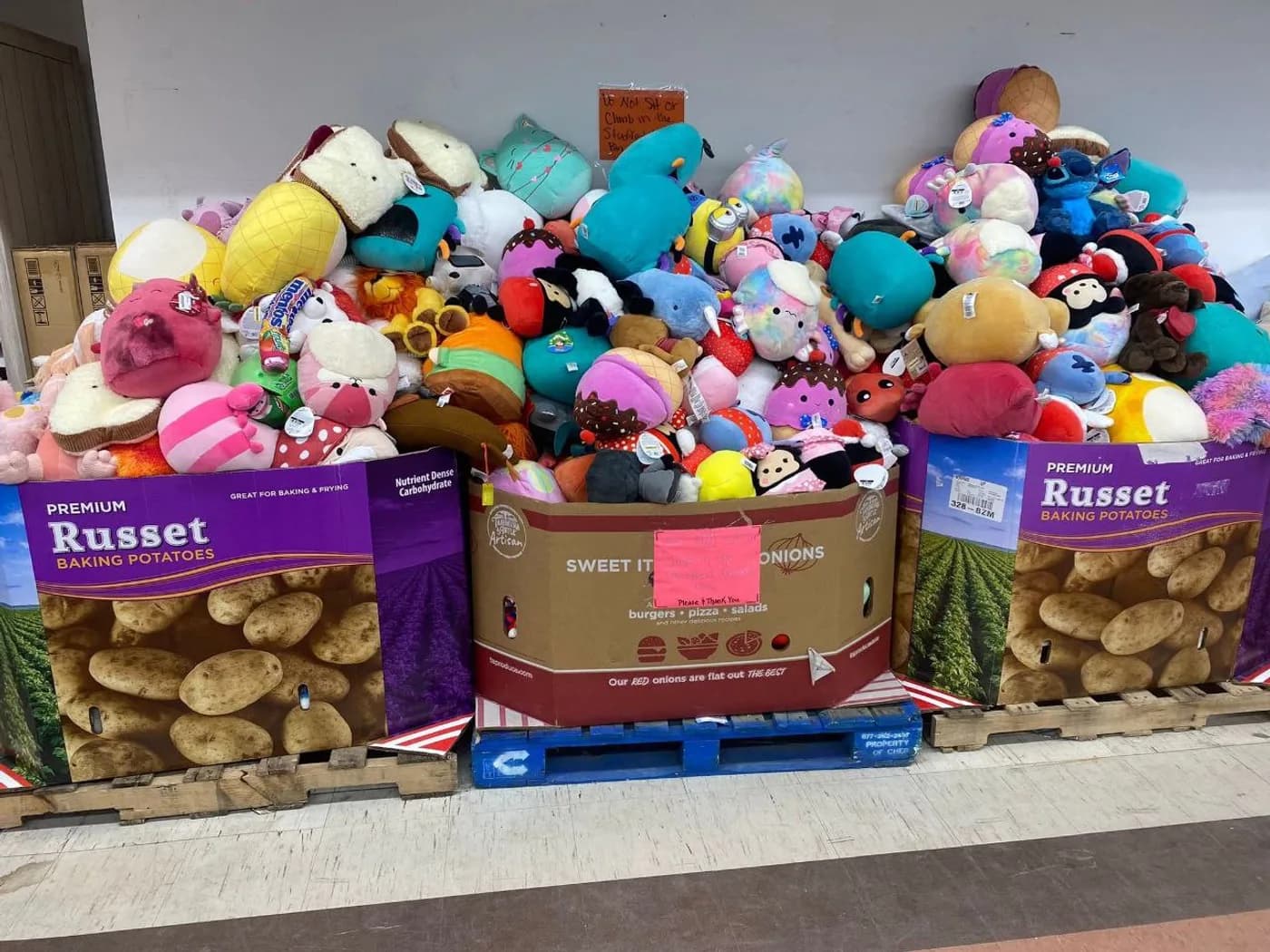Wholesale Dog Toys Pallet (500 Units) — full lot photo
